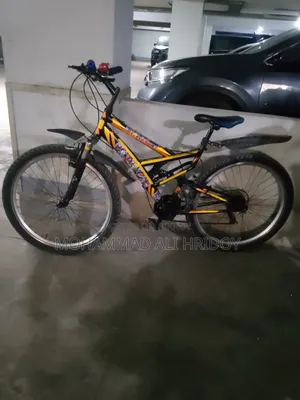 সাইকেলটা দেখতে নতুনের মত