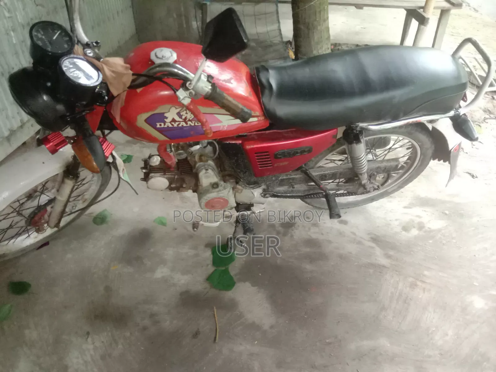 দায়াং অ্যাপোলো ২০১৭ লাল