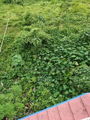 আবাসিক প্লট বিক্রয় হবে