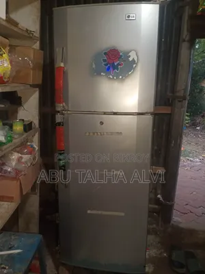 এলজি ডাবল ডোর রেফ্রিজারেটর | ফুল ফ্রেশ | কুলিং ১০০% ঠিক আছে