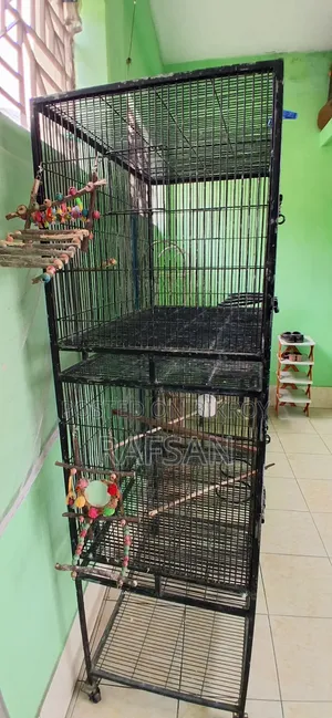 পাখির দোতলা খাঁচা