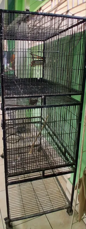 পাখির দোতলা খাঁচা