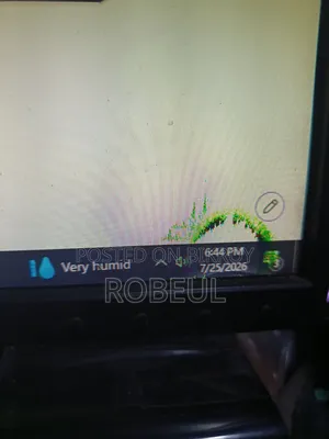 Dell Monitor