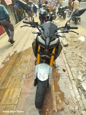 Yamaha 2024 Gray