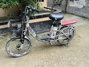 মোটরসাইকেল ২০২৫ সিলভার