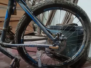 Trinwf Cycle
