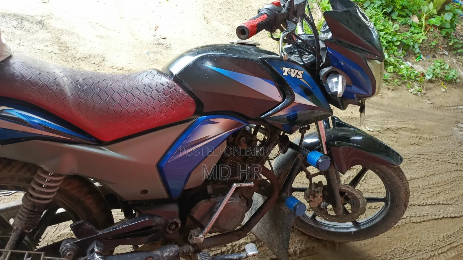 TVS 2017 Purple