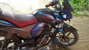 TVS 2017 Purple