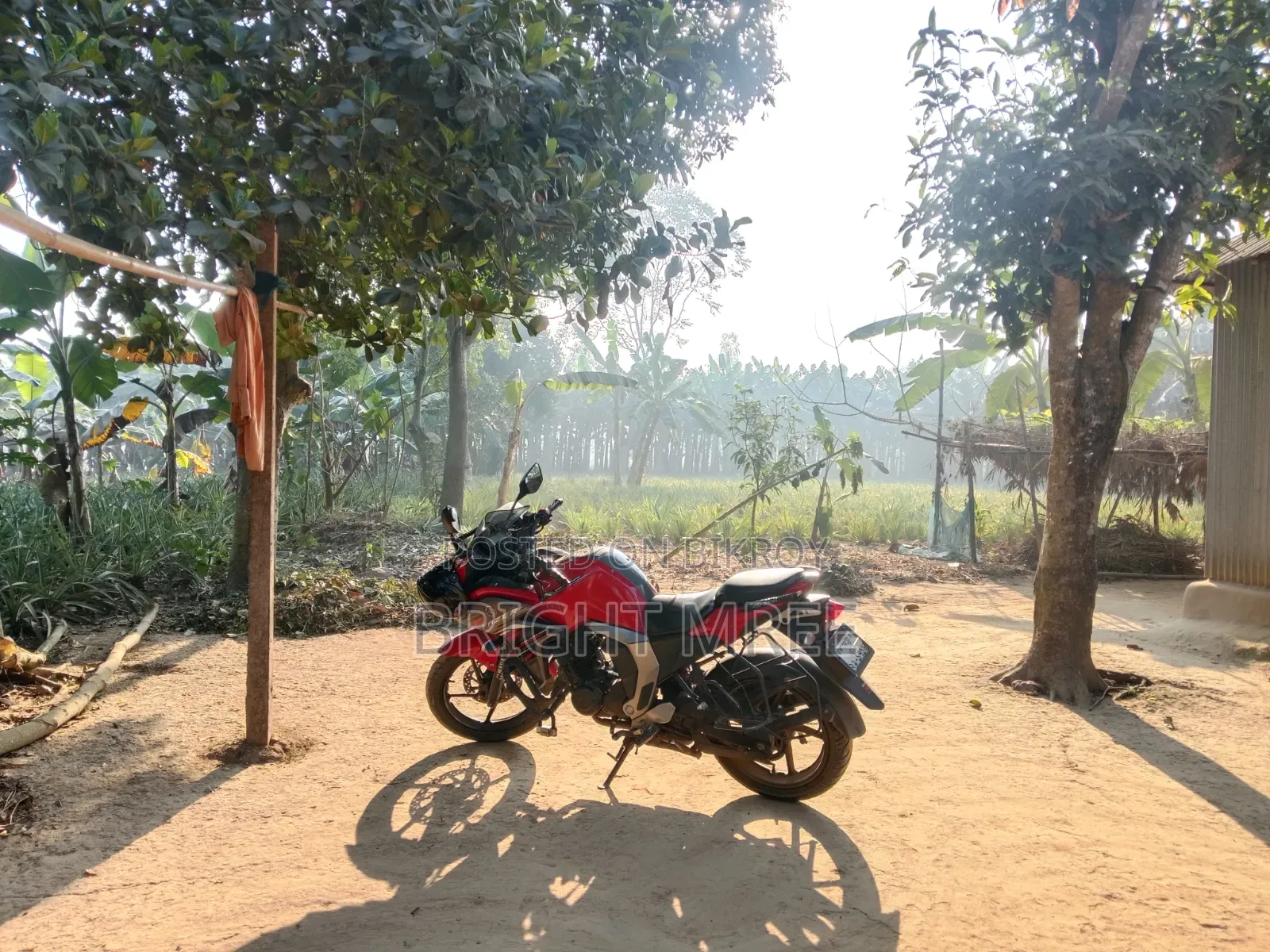 Yamaha 2019 Red