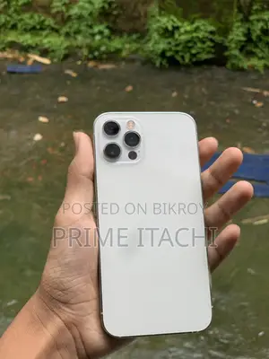Apple iPhone 12 Pro 128 GB Silver