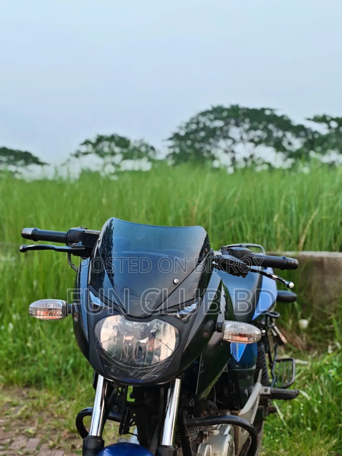 বাজাজ পালসার ১৫০ ২০১৬ নীল