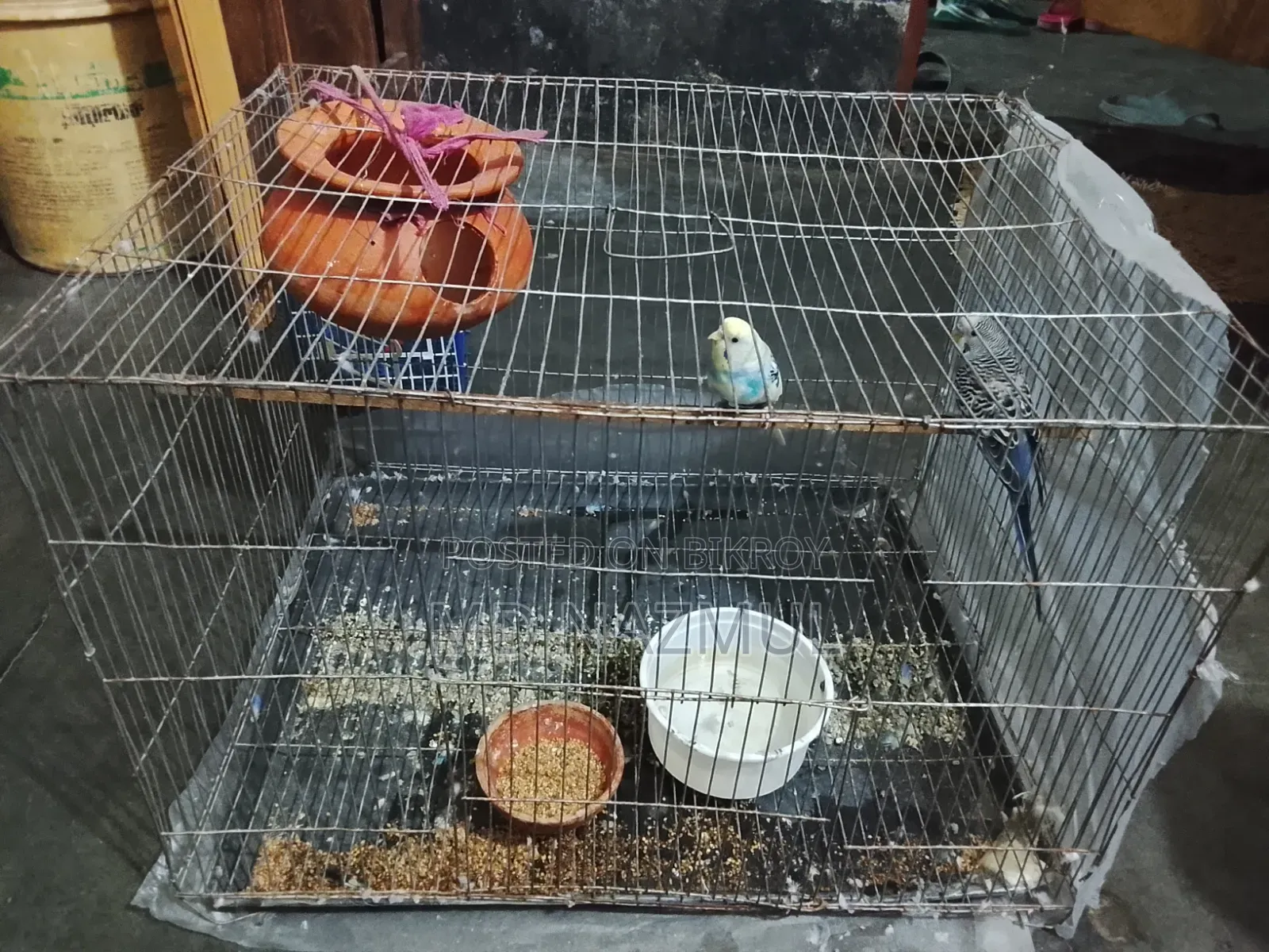 পাখিটি খুব ভালোই হবে আমার যত