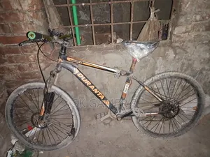 ফনিক্সজেজিজিএইচজি