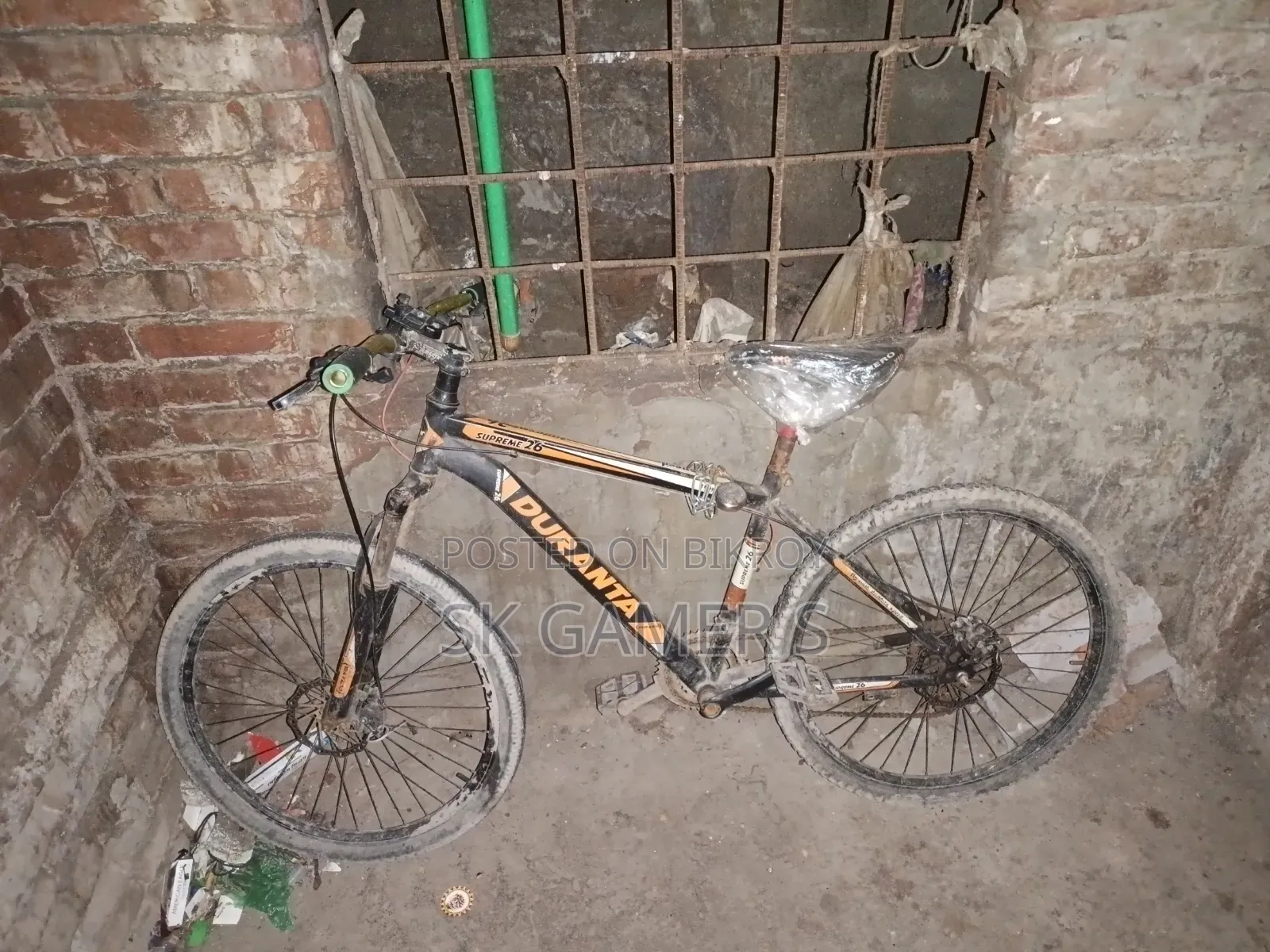 ফনিক্সজেজিজিএইচজি