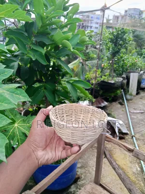 ডায়মন্ড ডাভ এর ঝুড়ি