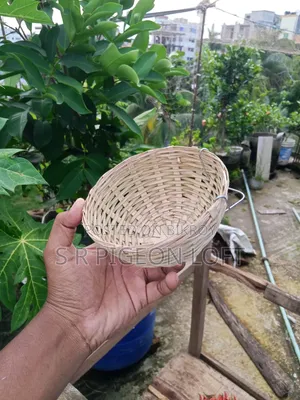 ডায়মন্ড ডাভ এর ঝুড়ি