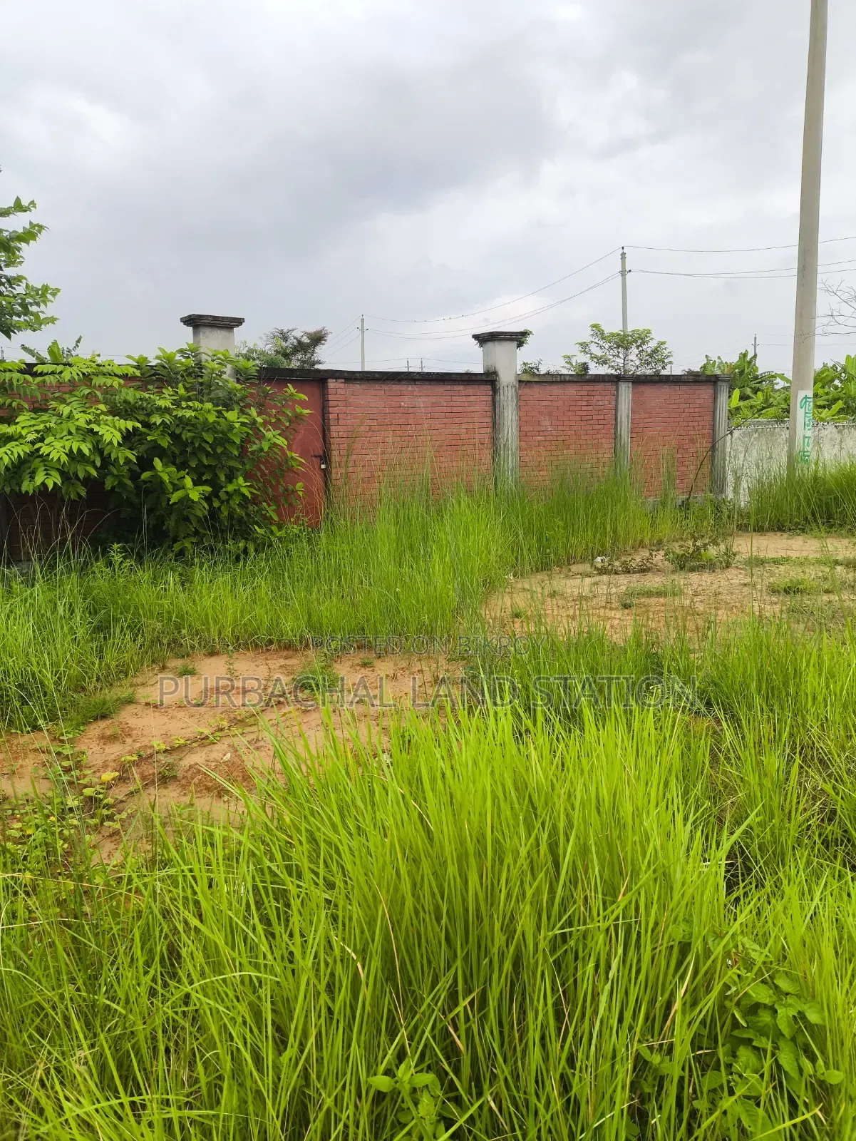 সেক্টর: ৫, ৩০০ ফুট রোডের কাছে ৩ কাঠা প্লট জরুরি বিক্রি পূর্বাচল