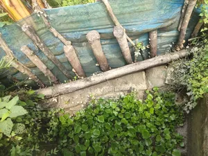 Will sell due to need for money, those who need it can take it, beside the main road