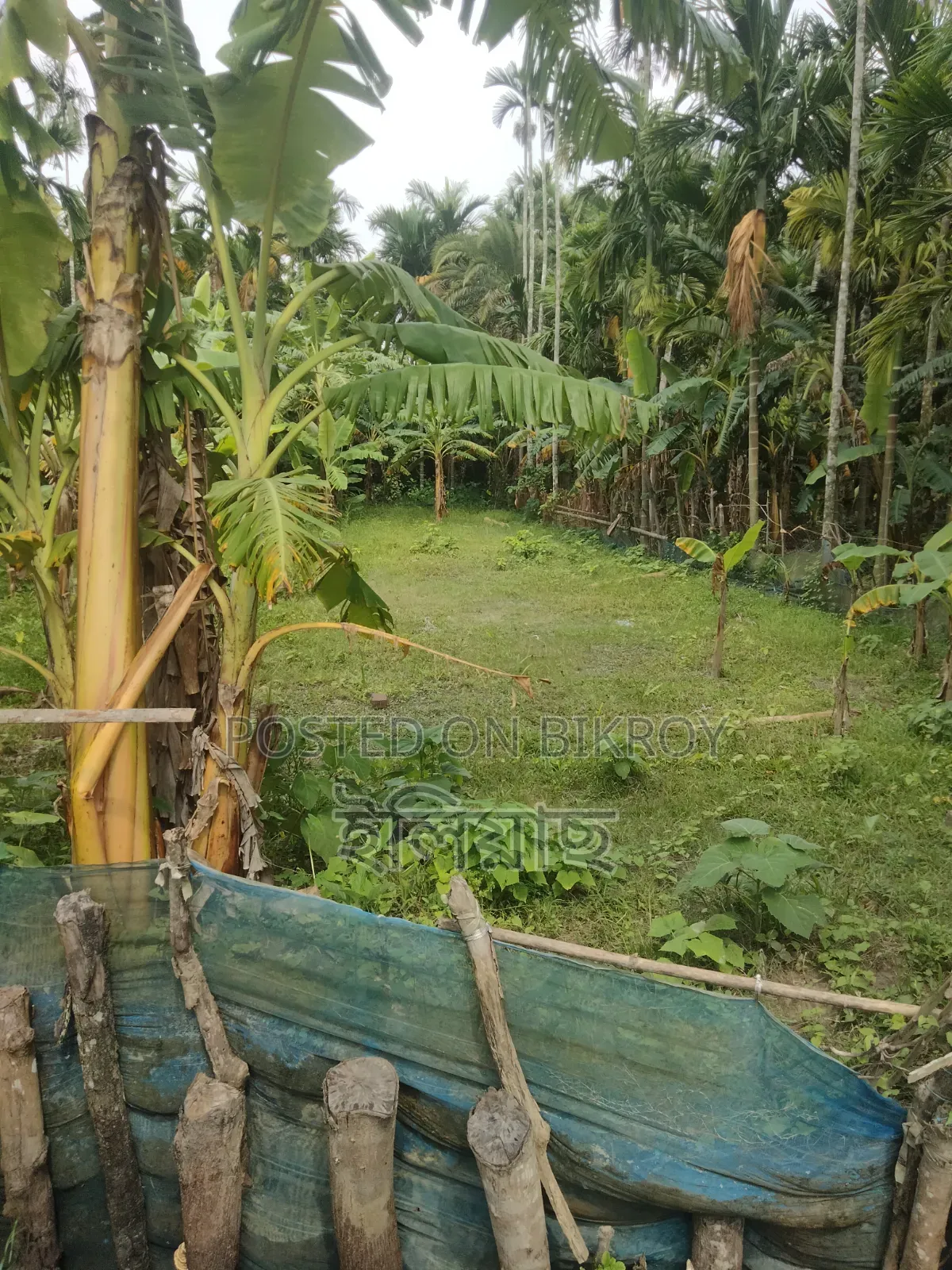 Will sell due to need for money, those who need it can take it, beside the main road