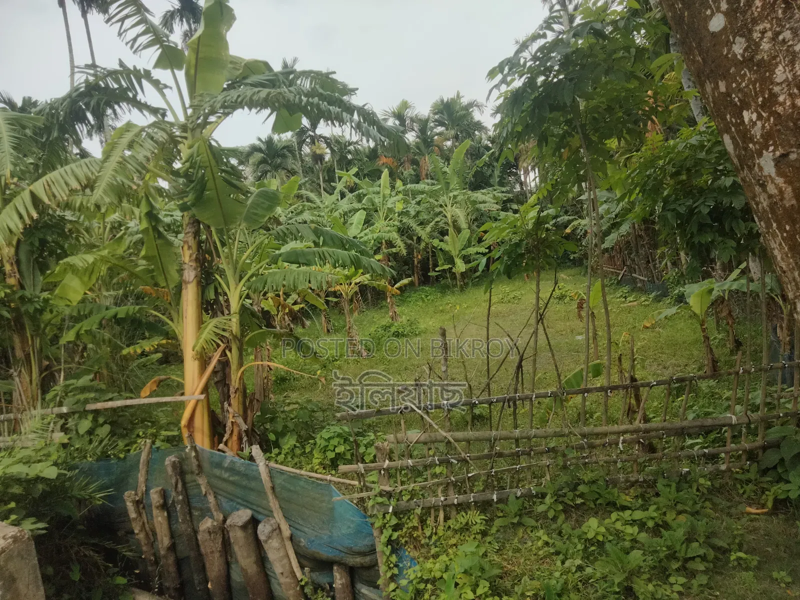 Will sell due to need for money, those who need it can take it, beside the main road
