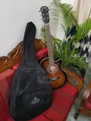 AXE AG-48C/BS Acoustic Guitar With Equalizer