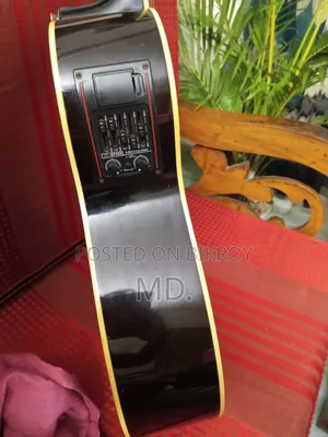 AXE AG-48C/BS Acoustic Guitar With Equalizer
