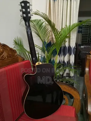 AXE AG-48C/BS Acoustic Guitar With Equalizer