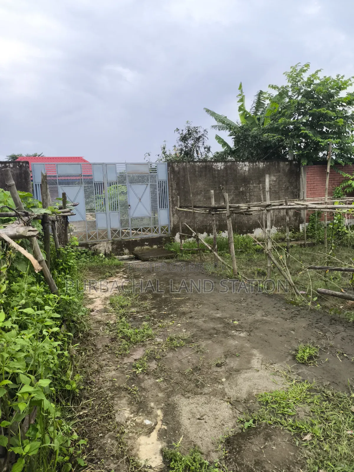 Sector: 15, South Face 5 Katha Plot Urgent Sale in Purbachal
