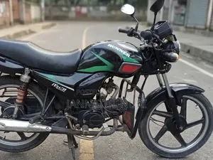 রানার চিতা ১০০ ২০১৭ ব্ল্যাক
