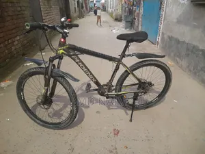 বাই সাইকেল