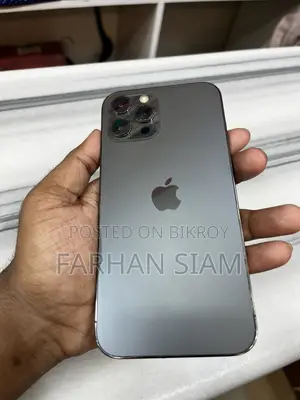 Apple iPhone 12 Pro Max 256 GB Gray