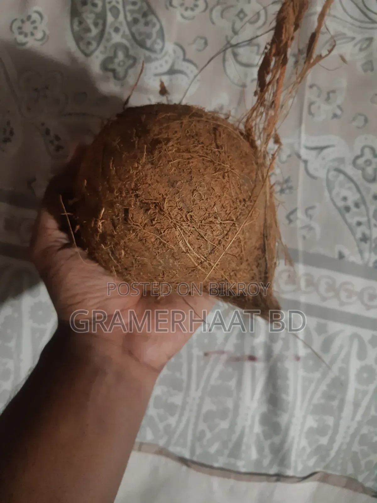 ৮০ টাকায় নারকেল বিক্রি