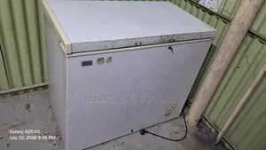 ডিপ ফ্রিজ সেল সিঙ্গার ইকো
