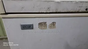 ডিপ ফ্রিজ সেল সিঙ্গার ইকো