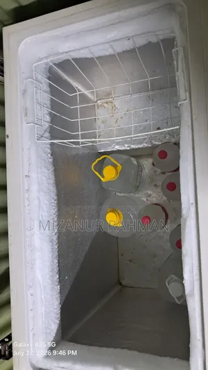 ডিপ ফ্রিজ সেল সিঙ্গার ইকো