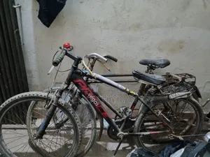 ২টি সাইকেল বিক্রি হবে।