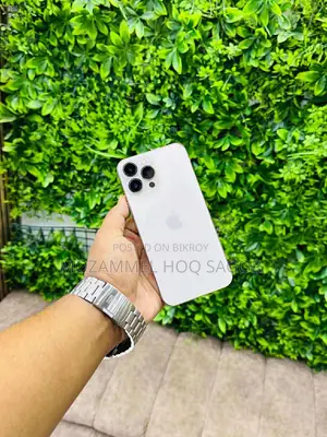 Apple iPhone 13 Pro 256 GB Silver