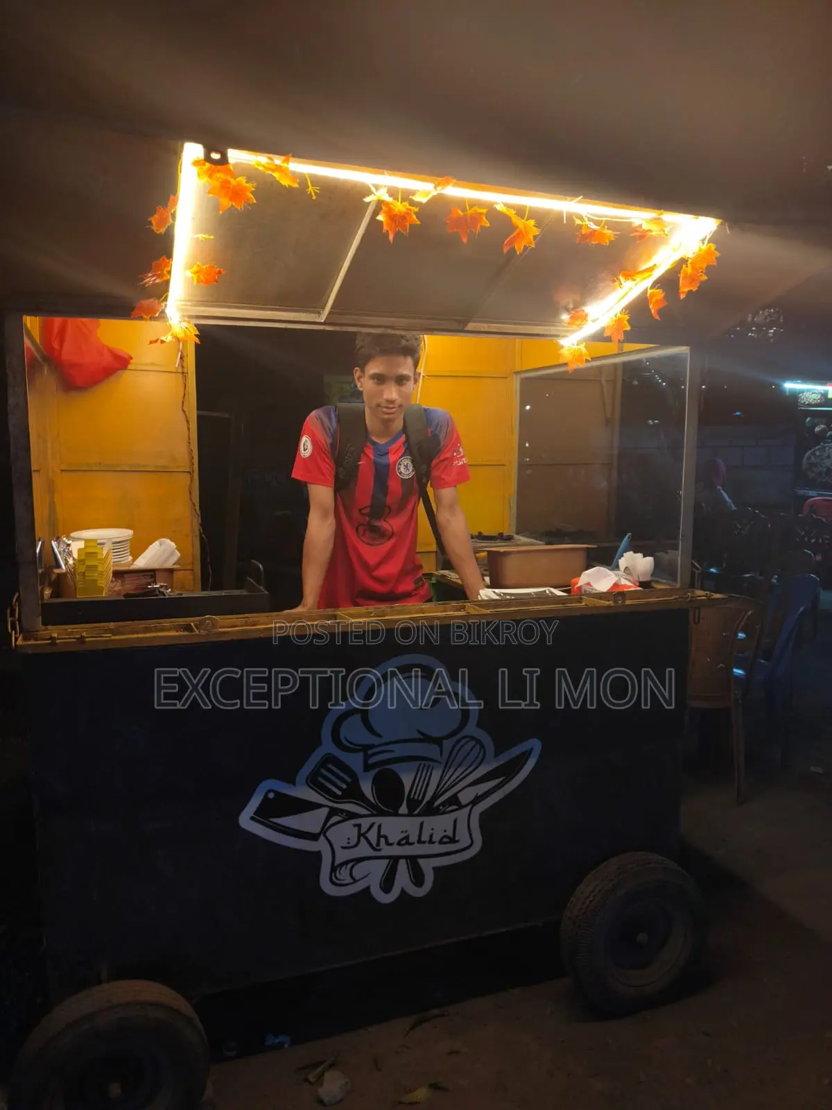 High Quality Food Cart for Outdoor