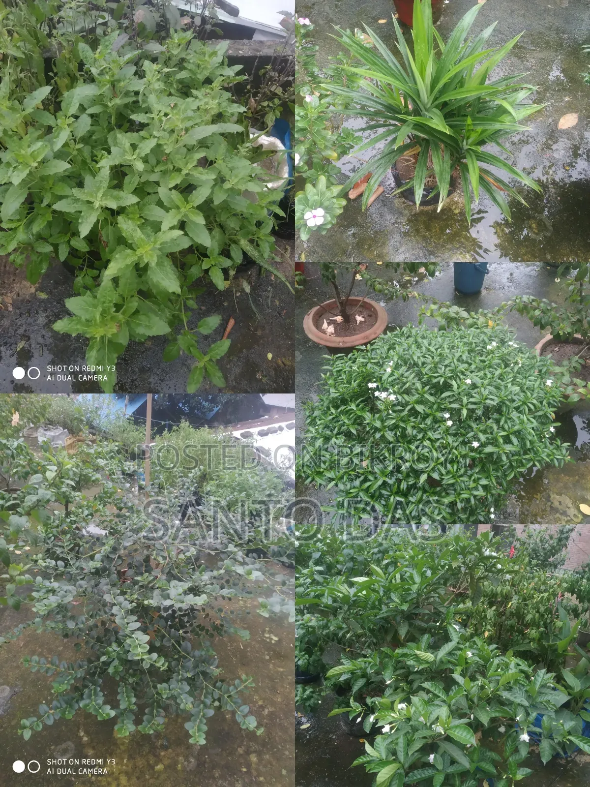 Brighten up your rooftop garden in an instant!