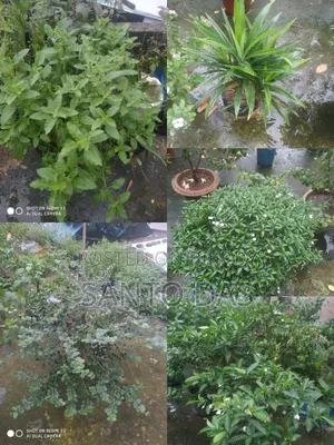 Brighten up your rooftop garden in an instant!