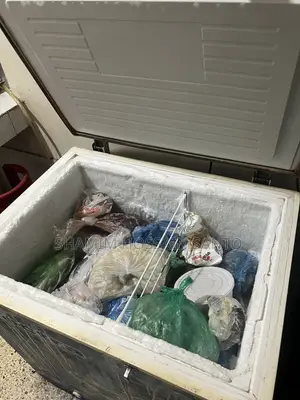 Deep Fridge