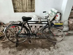 চীন ফিনিক্স সাইকেল