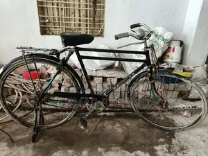 চীন ফিনিক্স সাইকেল