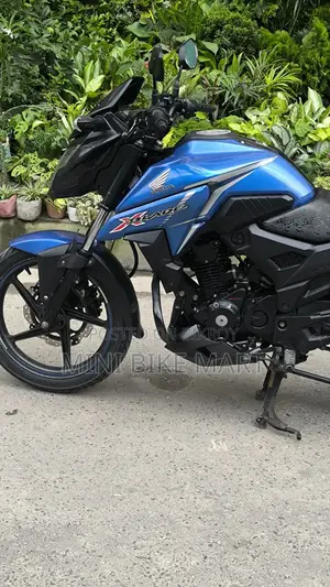 হোন্ডা এক্স-ব্লেড ১৬০ ২০২১ নীল