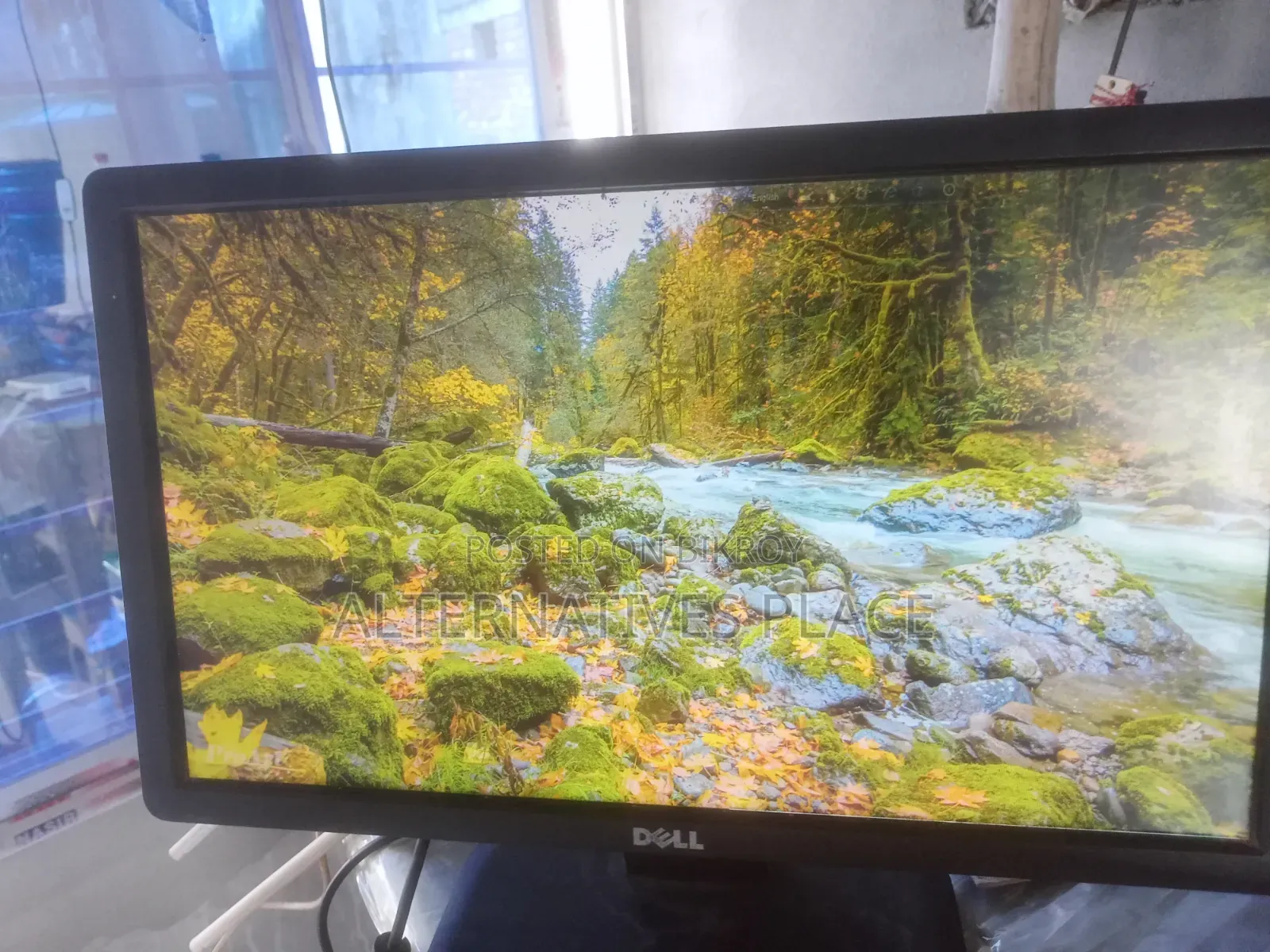 Dell Monitor 19 Inch