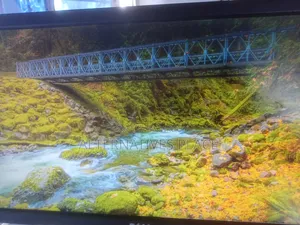 Dell Monitor 19 Inch