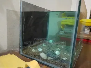 Aquarium With Fish
