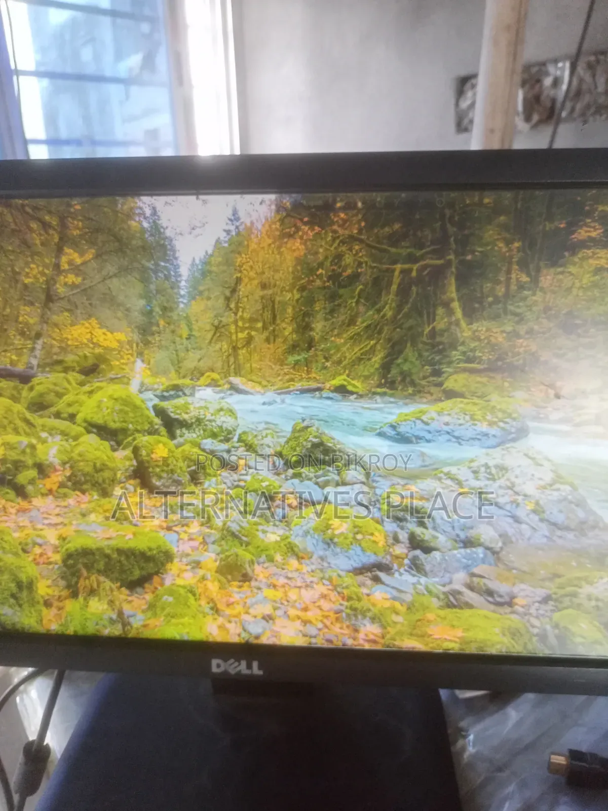Dell Monitor 19 Inch