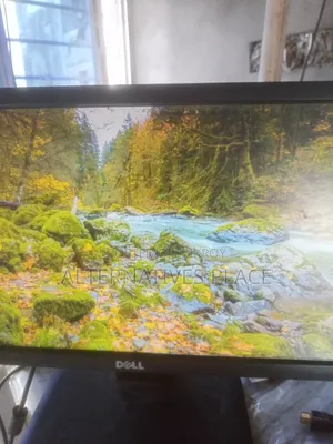 Dell Monitor 19 Inch