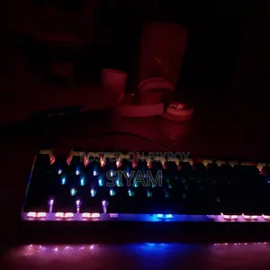 Rapoo V500pro-87 Mechanical Keyboard + Gaming Mouse